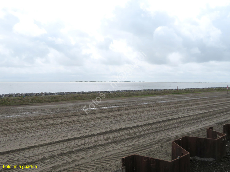 MARKEN (137)