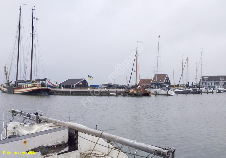 MARKEN (146)