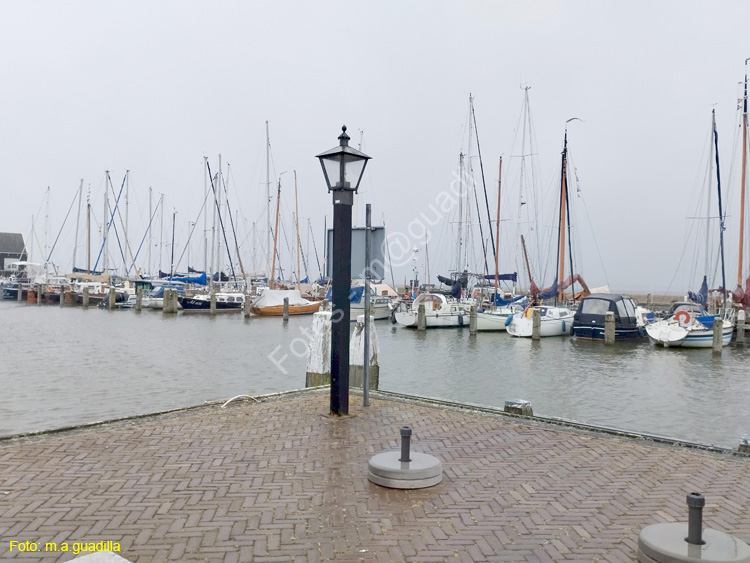 MARKEN (149)
