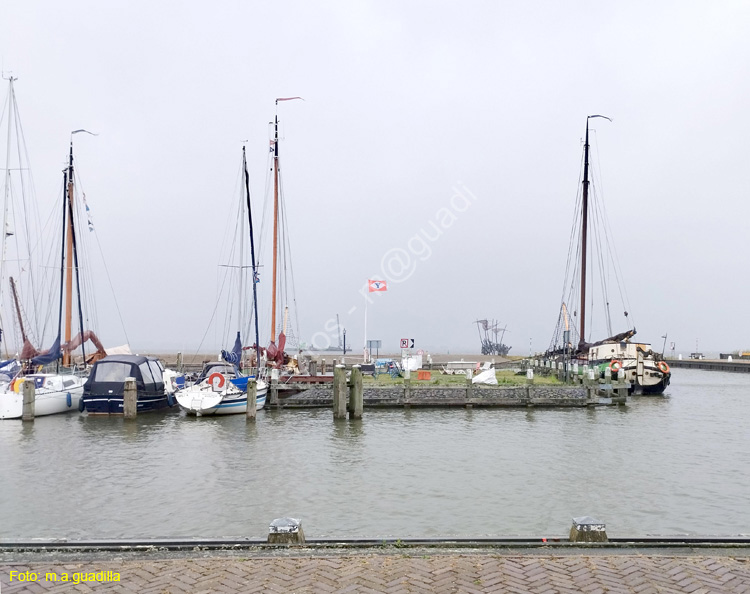 MARKEN (151)