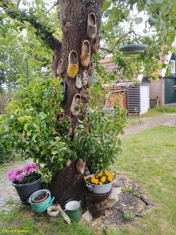 MARKEN (164)