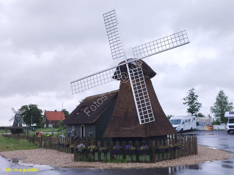 MARKEN (165)