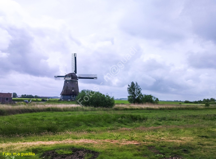 MARKEN (174)