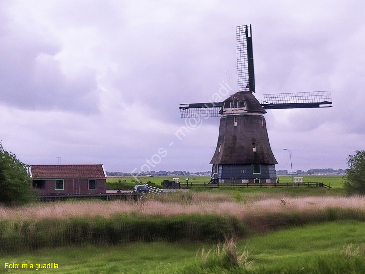 MARKEN (175)