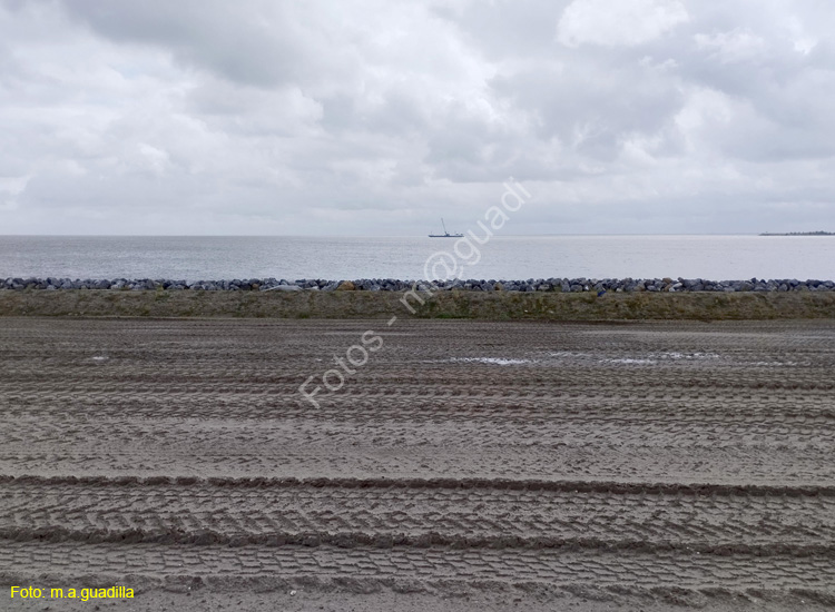 MARKEN (176)