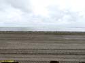 MARKEN (136)