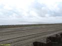 MARKEN (137)