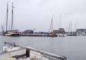 MARKEN (146)