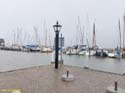 MARKEN (149)