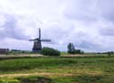 MARKEN (174)