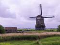MARKEN (175)