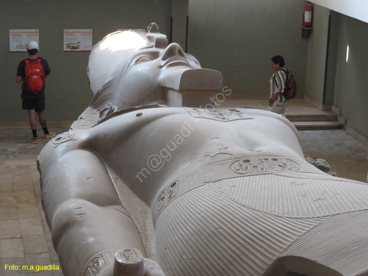 MENFIS (102) Coloso de Ramses II