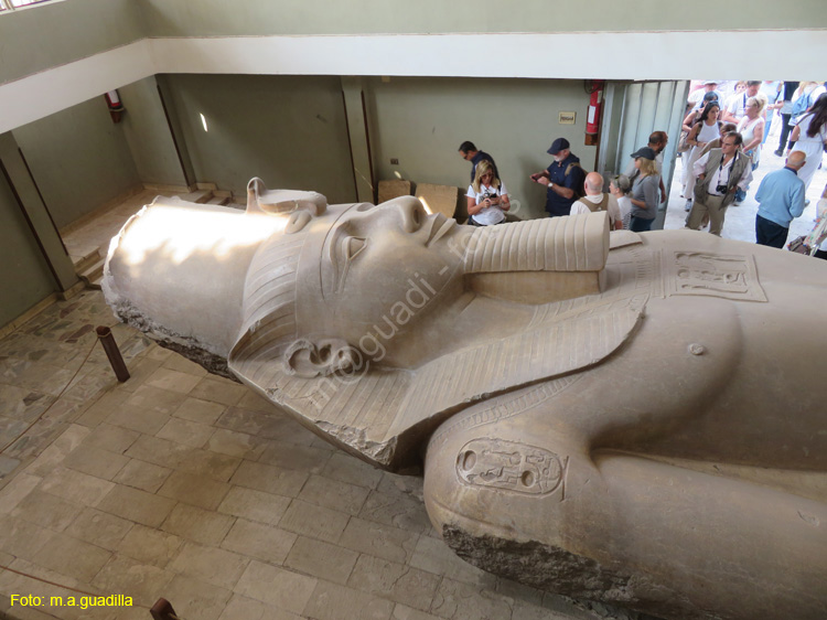 MENFIS (103) Coloso de Ramses II