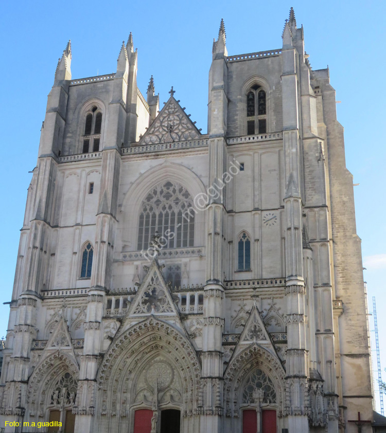 NANTES (102)  Catedral de San Pedro y San Pablo