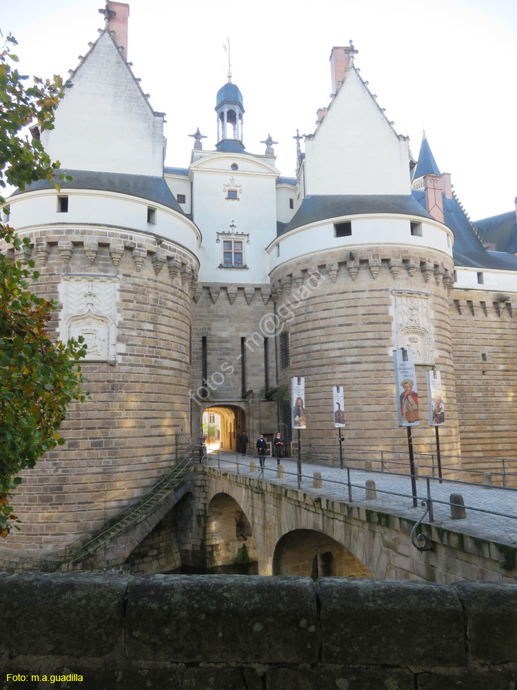 NANTES (145) Castillo de los Duques de la Bretaña