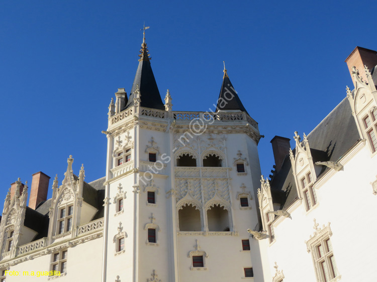 NANTES (151) Castillo de los Duques de la Bretaña