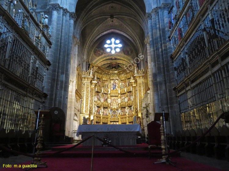 ORENSE (203) Catedral de San Martin