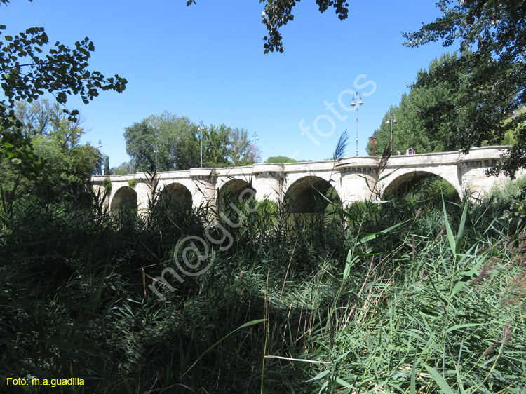 PALENCIA (359) Puente Mayor