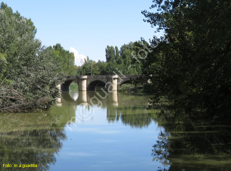 PALENCIA (360) Puente Mayor