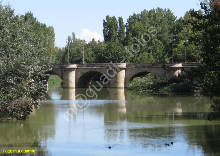 PALENCIA (361) Puente Mayor