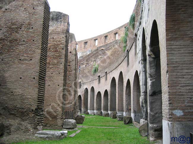 214 Italia - ROMA Coliseo