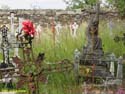 Sierra de la Culebra (105) Codesal - Cementerio