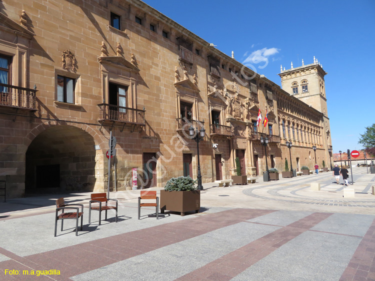 SORIA (255) Palacio de los Condes de Gomara