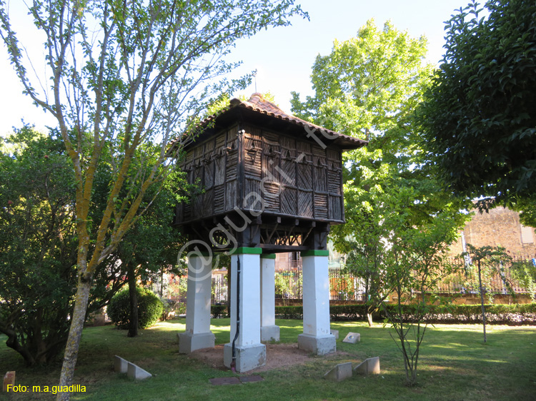 SORIA (330) Alameda de Cervantes - Arbol de la Musica