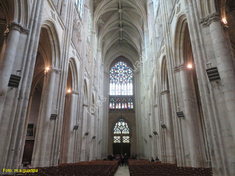 TOURS (121) Catedral de Saint-Gatien