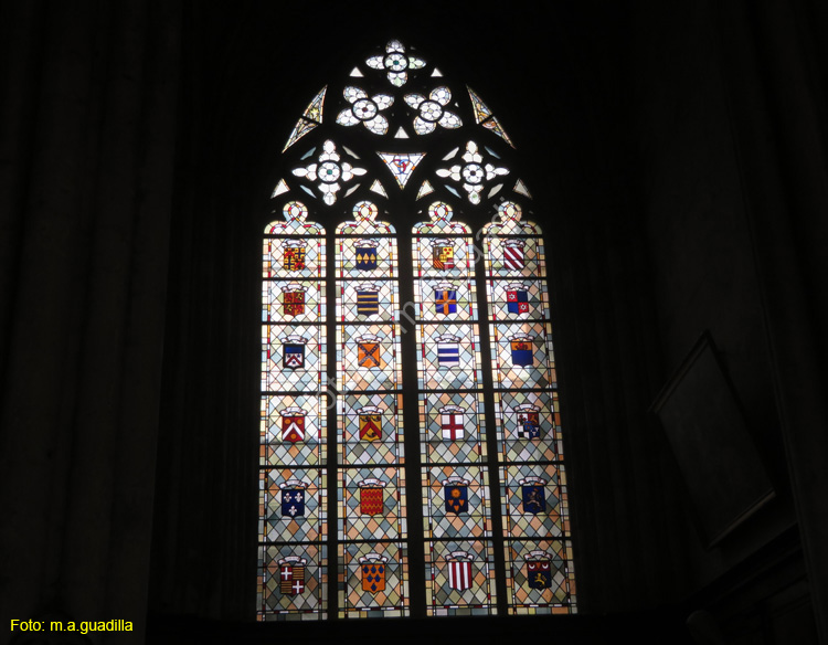 TOURS (124) Catedral de Saint-Gatien