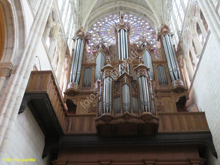 TOURS (126) Catedral de Saint-Gatien