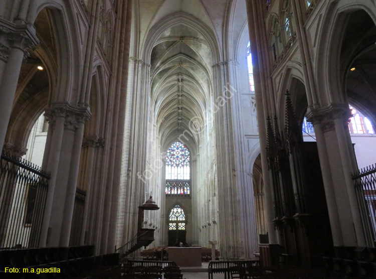 TOURS (133) Catedral de Saint-Gatien