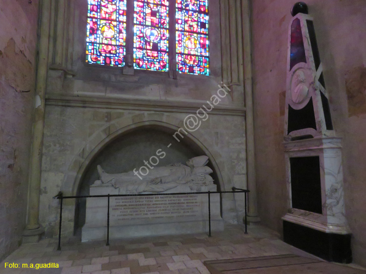 TOURS (135) Catedral de Saint-Gatien