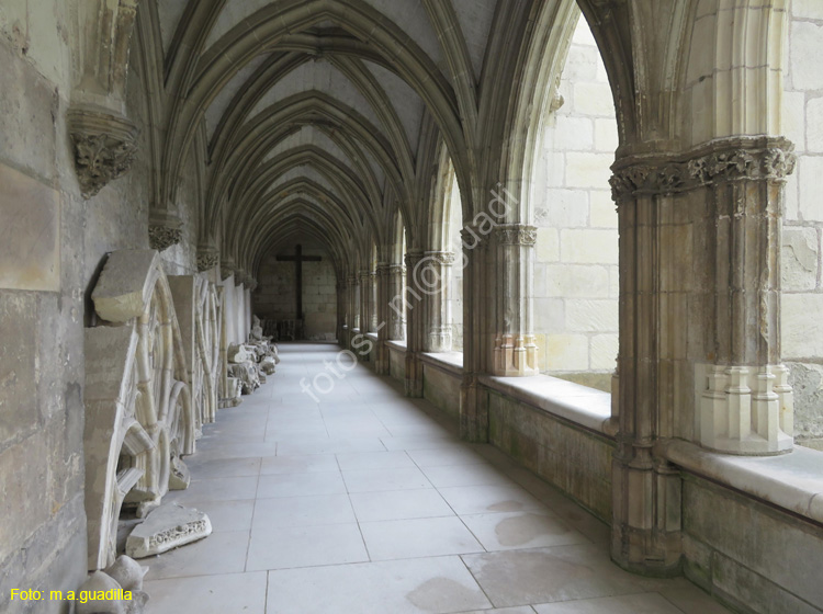 TOURS (148) Catedral de Saint-Gatien