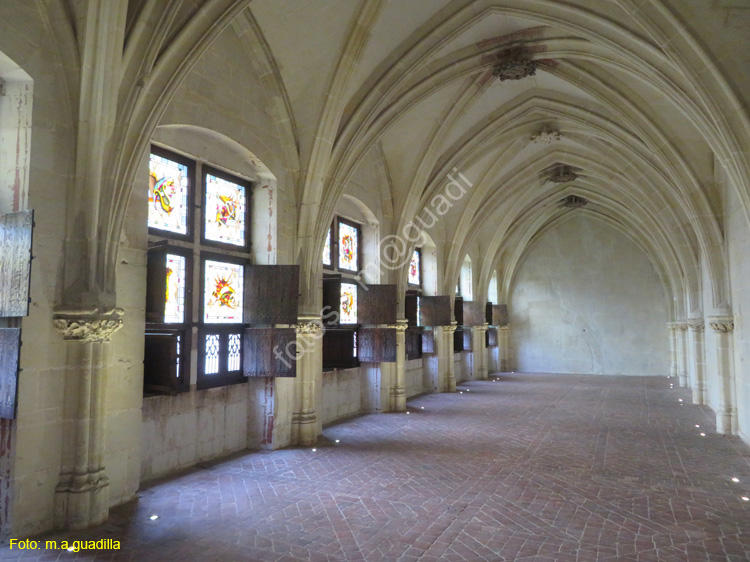 TOURS (154) Catedral de Saint-Gatien