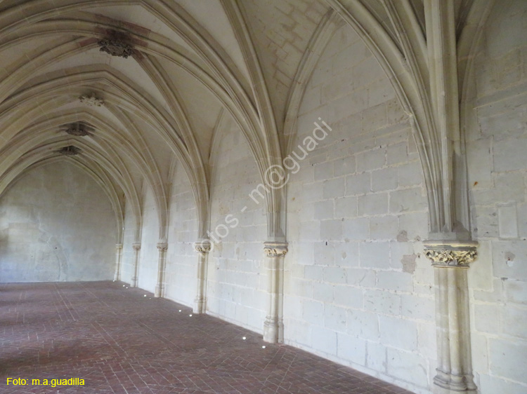 TOURS (155) Catedral de Saint-Gatien