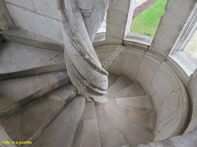 TOURS (158) Catedral de Saint-Gatien