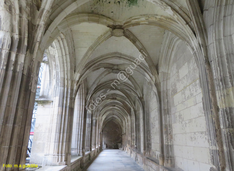 TOURS (160) Catedral de Saint-Gatien