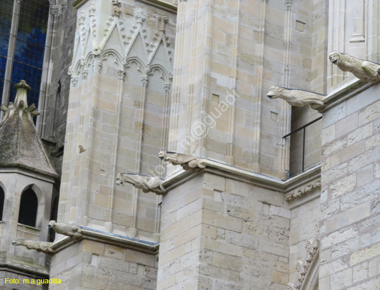 TOURS (163) Catedral de Saint-Gatien