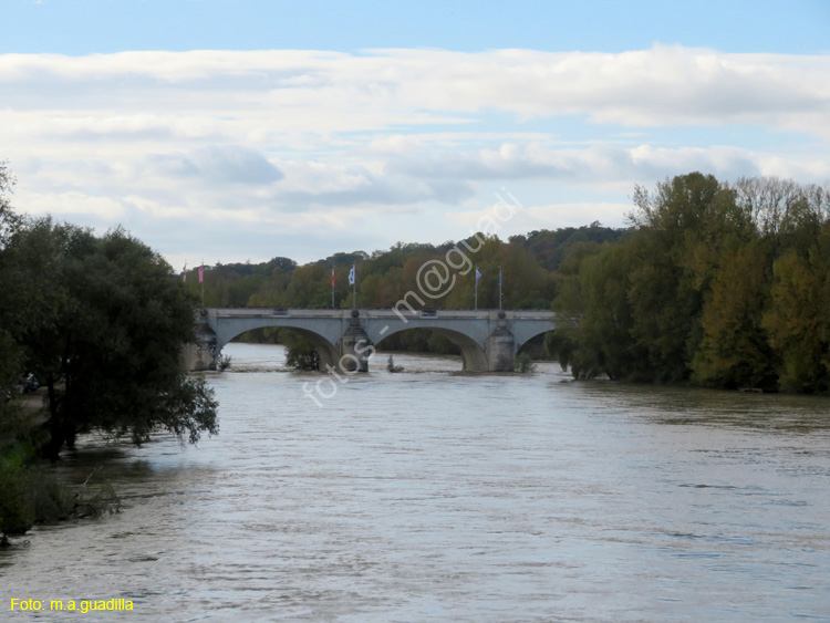 TOURS (355) Puente Wilson