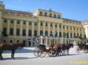 VIENA - Palacio de Schonbrunn 035