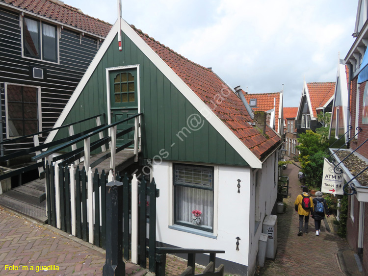 VOLENDAM (101)