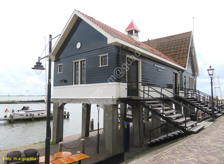 VOLENDAM (109)