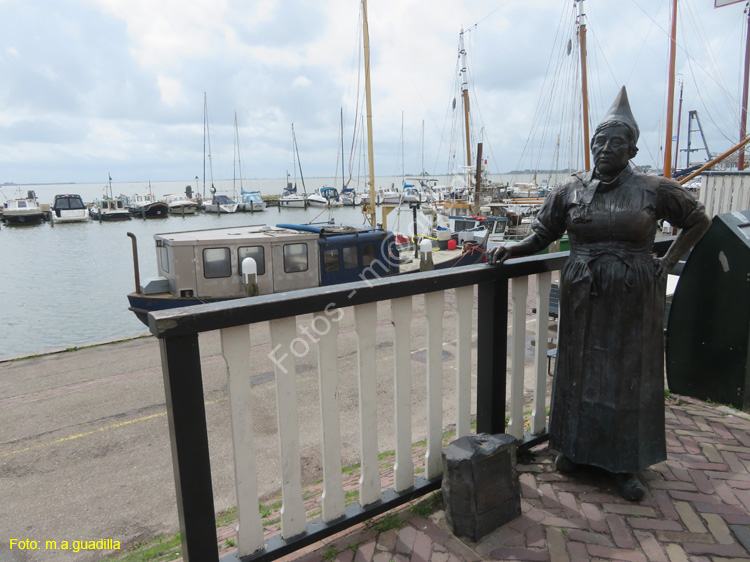VOLENDAM (110)