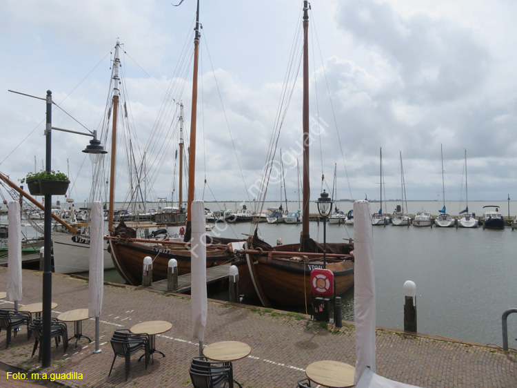 VOLENDAM (111)