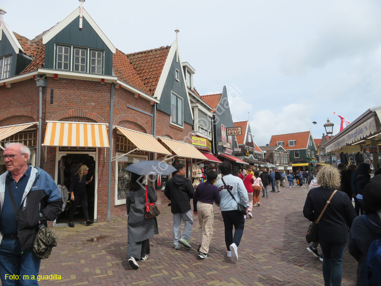 VOLENDAM (113)