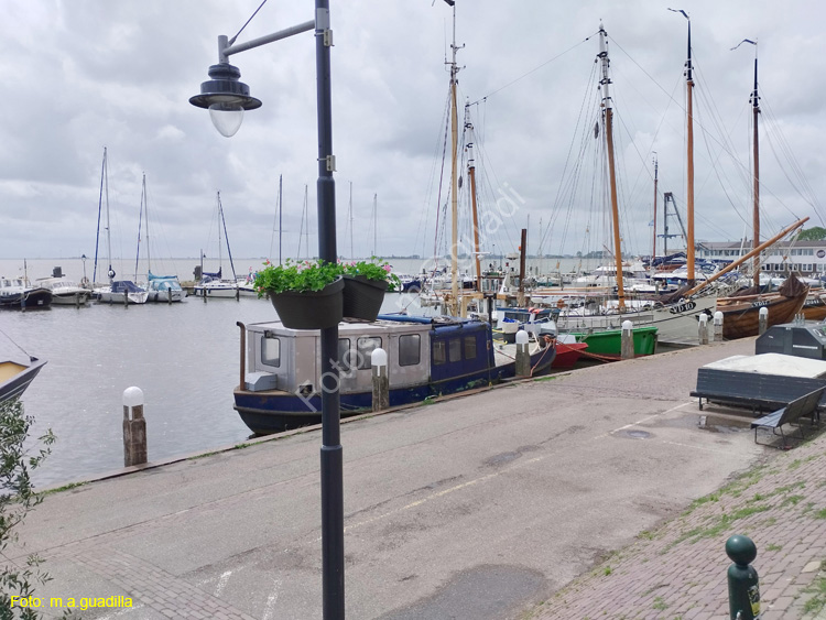 VOLENDAM (130)
