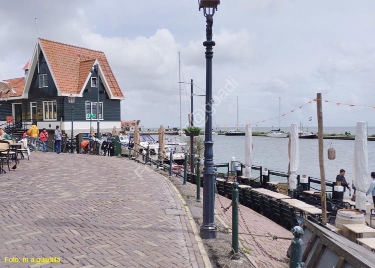 VOLENDAM (131)
