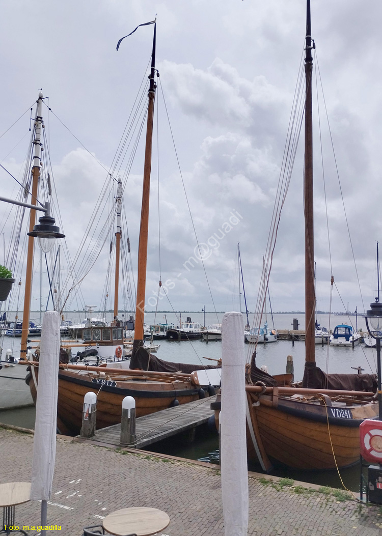 VOLENDAM (132)