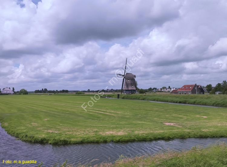 VOLENDAM (134)